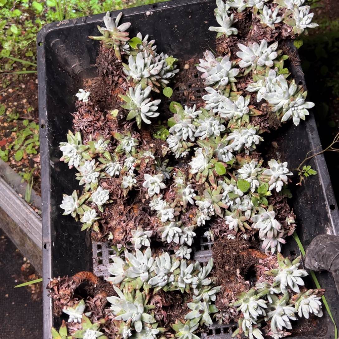 5560哈哈哈哈哈哈哈哈哈