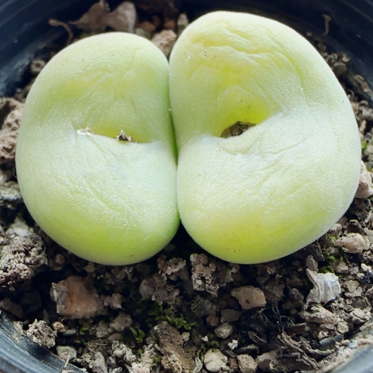 【闪购商品】19789