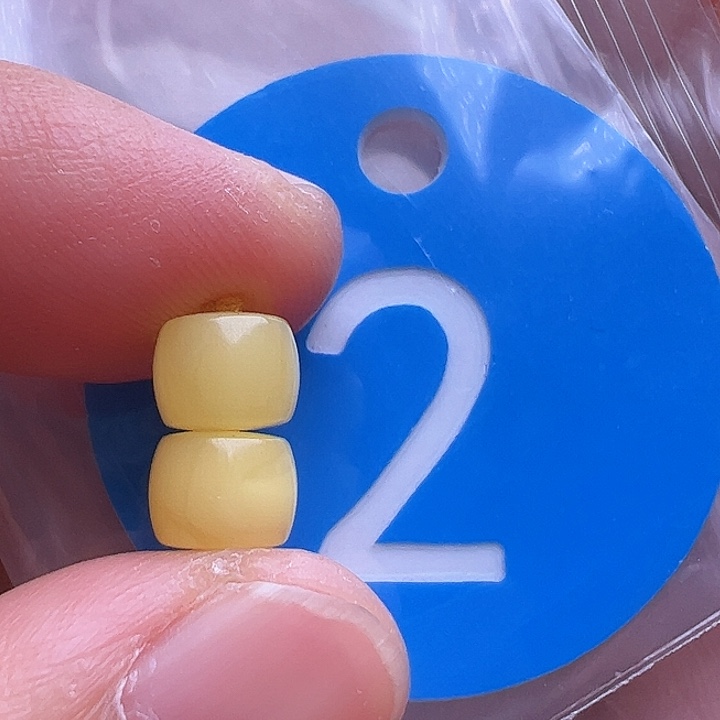 未镶嵌蜜蜡裸石6.5m m