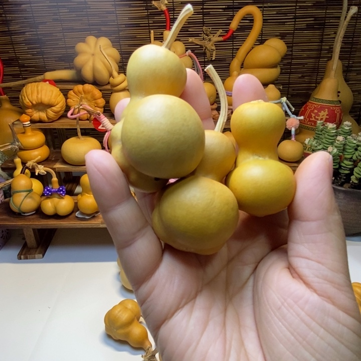 书***意葫芦乌龟 88888888