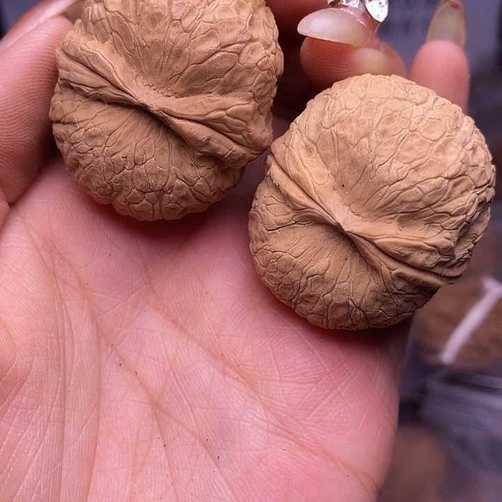 核桃云南野生铁核桃69号37mm