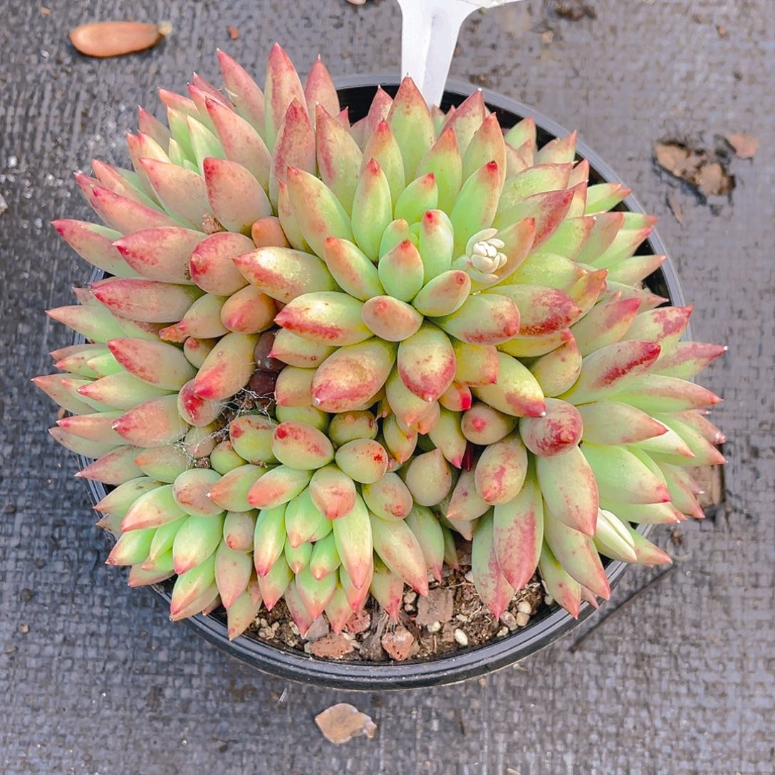 @***儿000000000000000000401