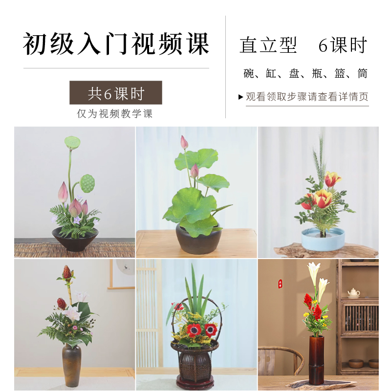 中式专业插花入门视频