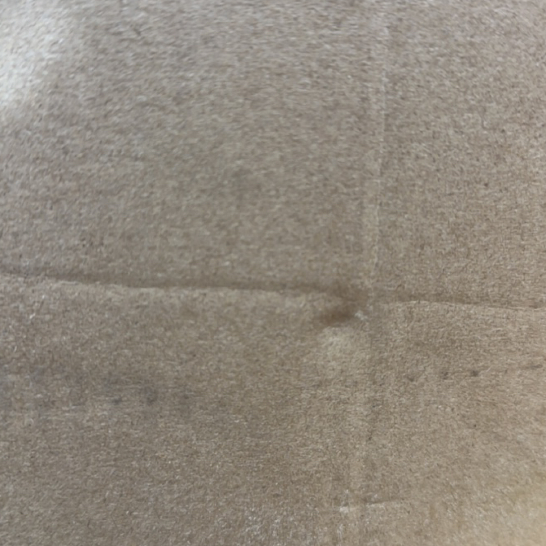 直播间红茶，花茶，绿茶或茶具活动