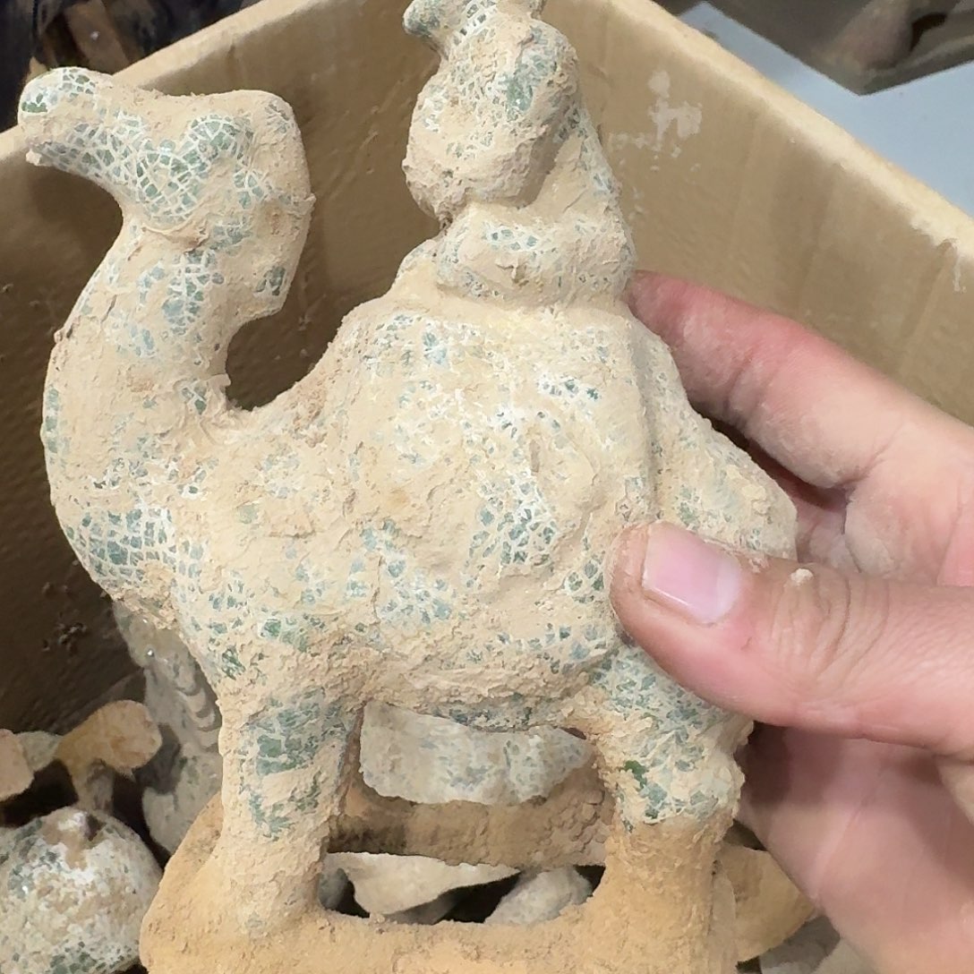 瓷片瓷片瓷片瓷片瓷片