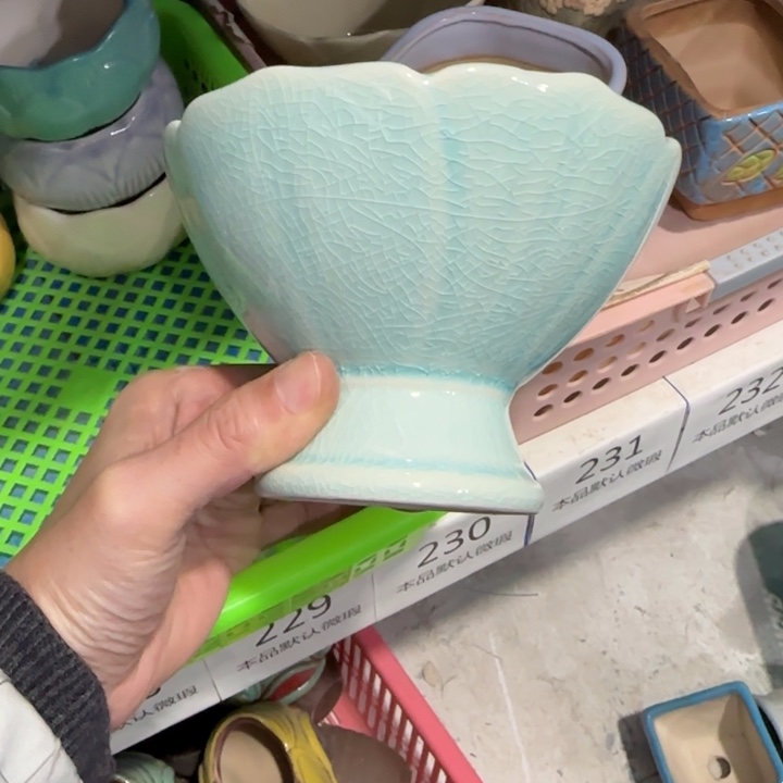 《所有单满15发（花盆）》13×9