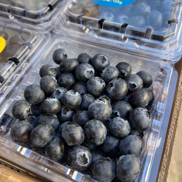 【蓝莓，4盒】16+蓝莓（4盒/单盒125g）仅宁夏区内可拍云南省