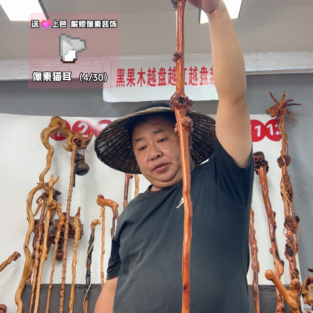 张***清黑果木其他黑果木221