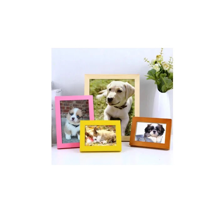 宠物相册定制拍摄服务咨询宠来宠去