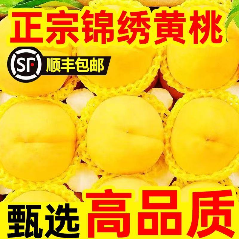 【小贤】贵州锦绣黄桃