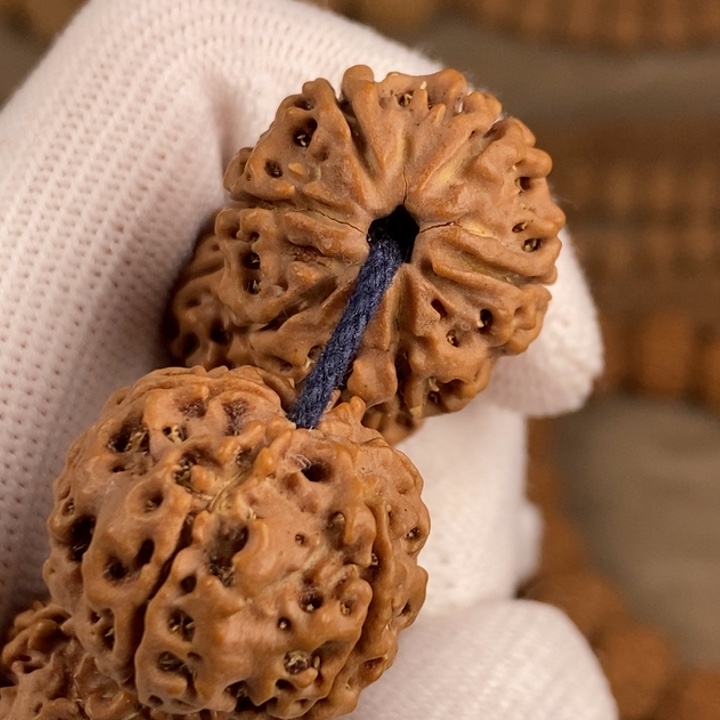 金刚菩提手串23mm原生态六瓣，粉皮老桩骨质硬开合度好