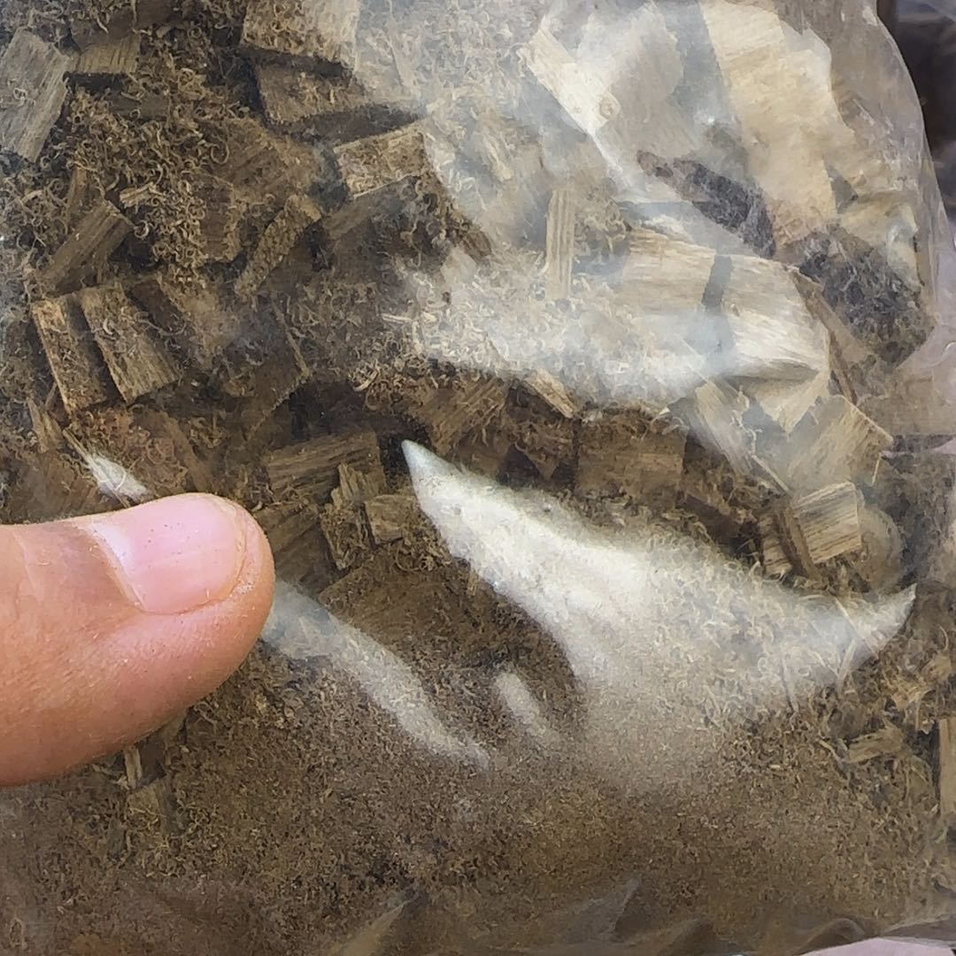 沉香沉香碎屑142克含袋子菩萨奇粉