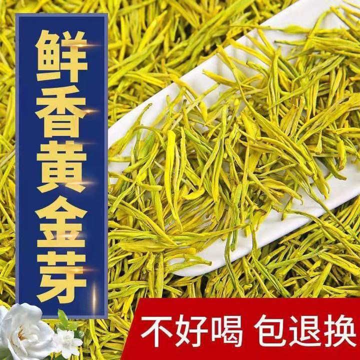2025年黄金芽绿茶茶叶新茶