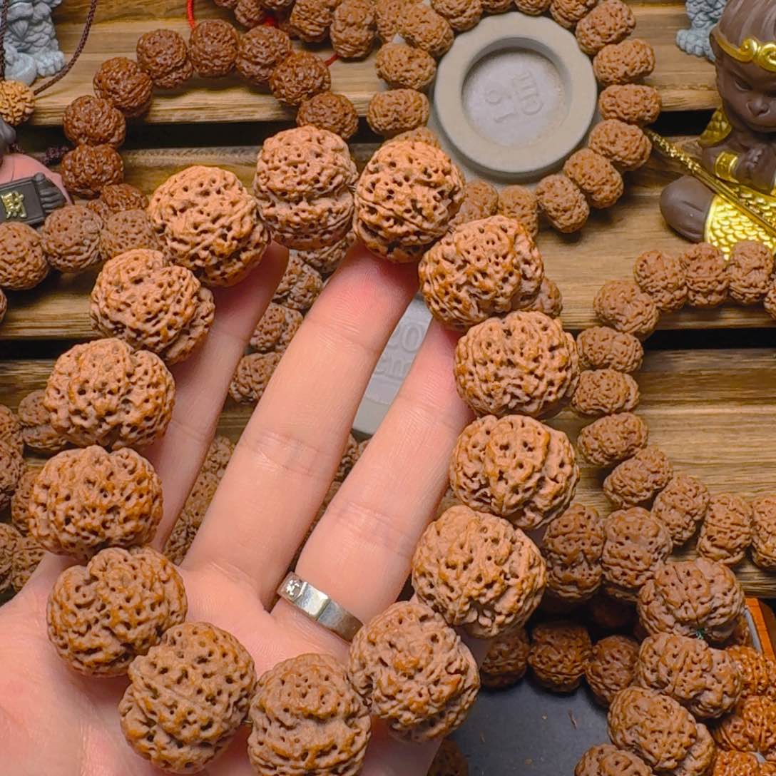 金刚菩提手串24+古龙梅花双龙