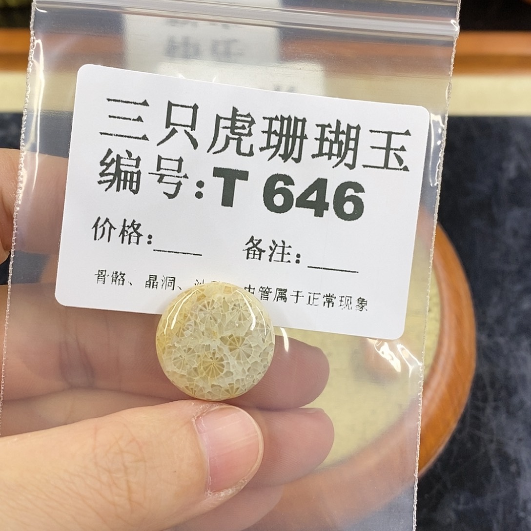 硅化珊瑚（珊瑚玉）1未镶嵌千*川