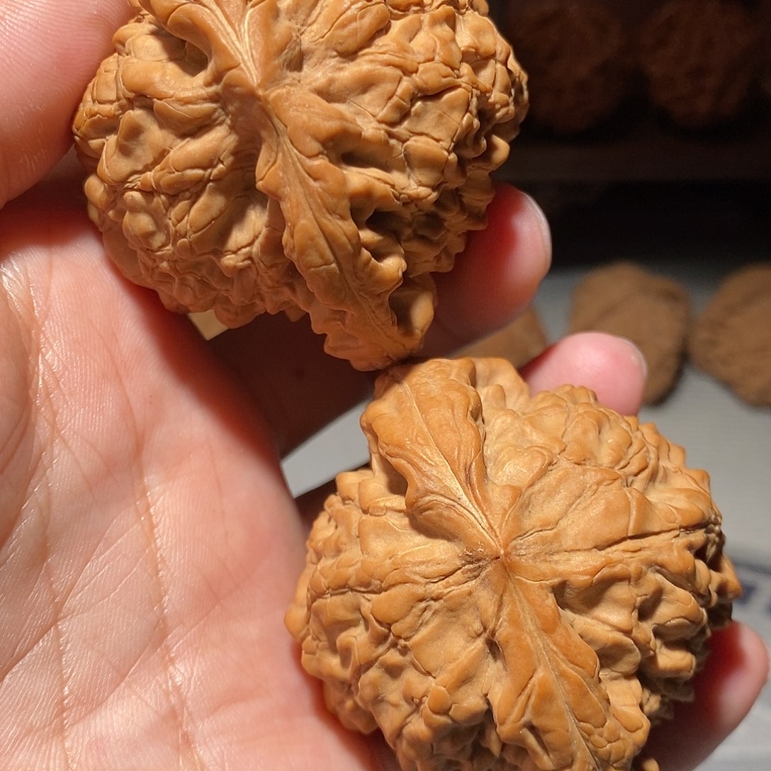 把件文玩核桃022龙鼎全品57尺左右毕业对