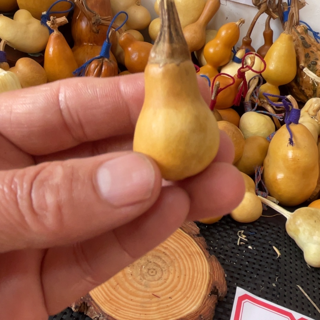 骑***风葫芦葫哈哈哈哈哈哈哈哈