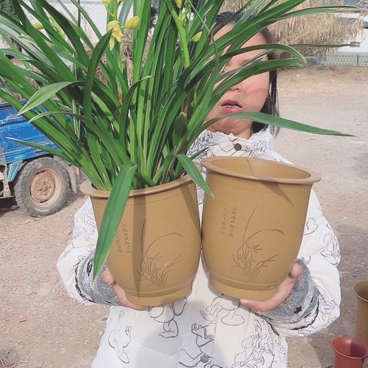 花盆紫砂宜兴紫砂精品花盆 