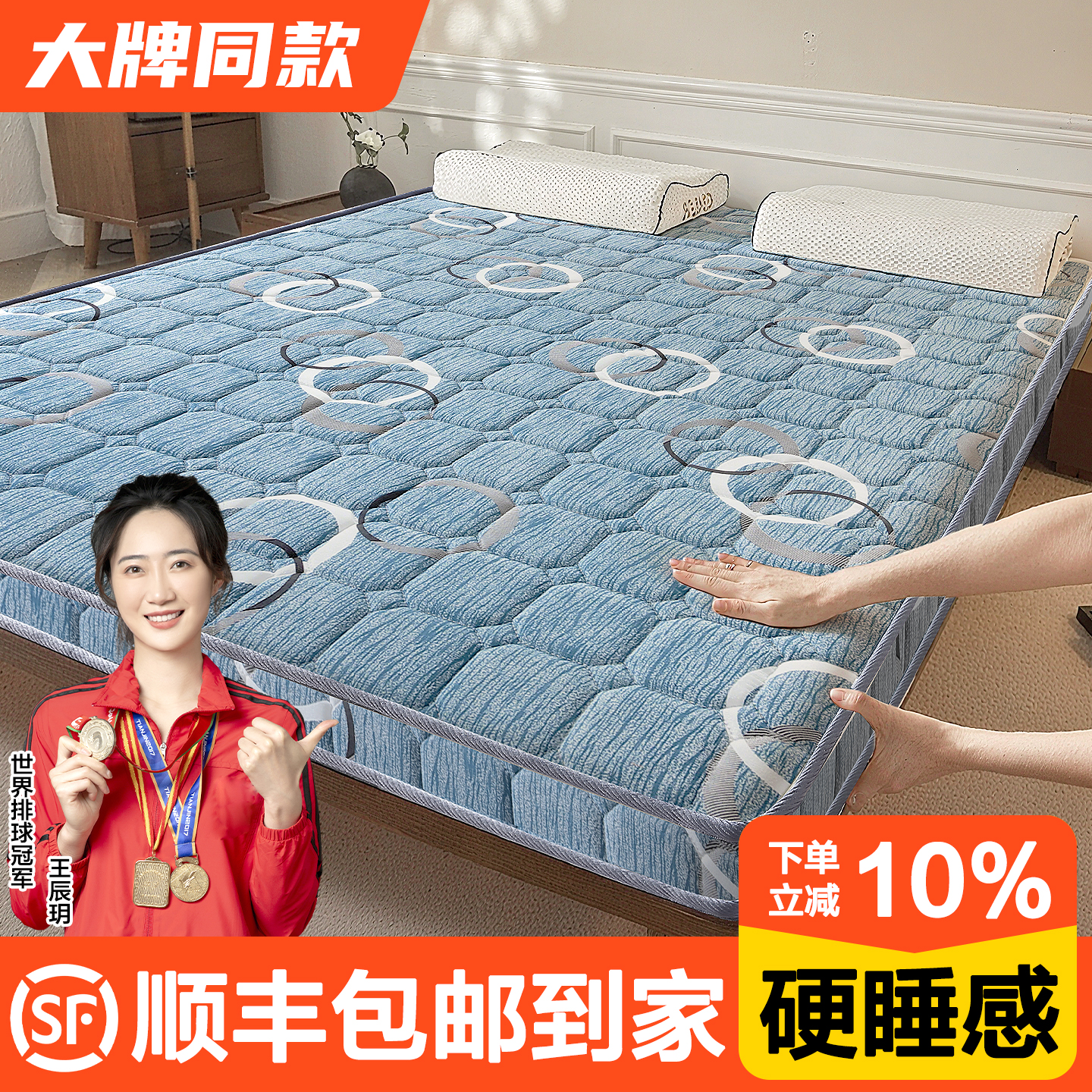 榻榻米床垫棕垫天然椰棕床垫十大名牌硬床垫3e环保椰棕榈垫护脊