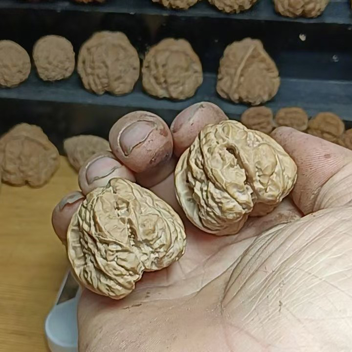 正宗延庆金蟾蛤蟆头文玩核桃全品无修天然老树山地果