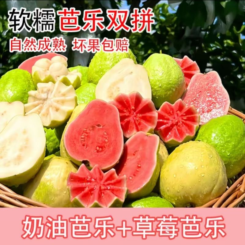 福建奶油红心白心草莓芭乐大果番石榴软糯香甜当季新鲜芭乐水果