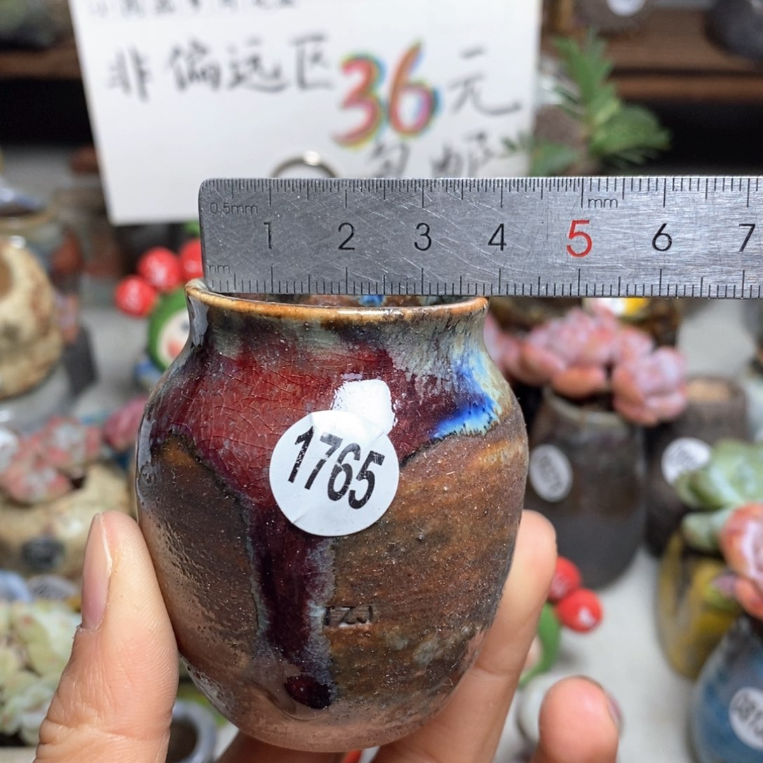 花盆拍5送一个小礼物