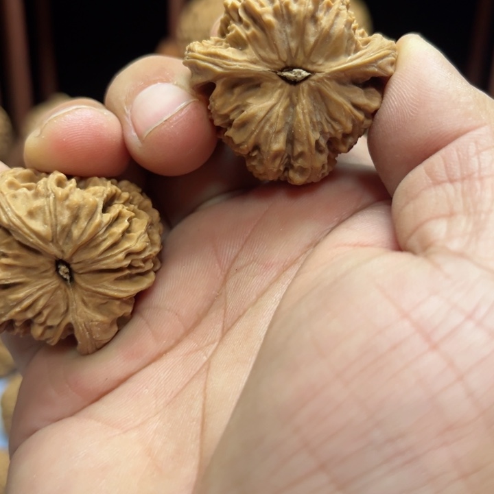 完全开放距**远南疆石