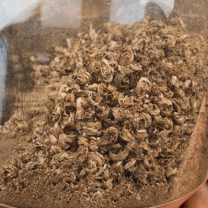 一***雨沉香沉香碎屑达拉干勾丝10克