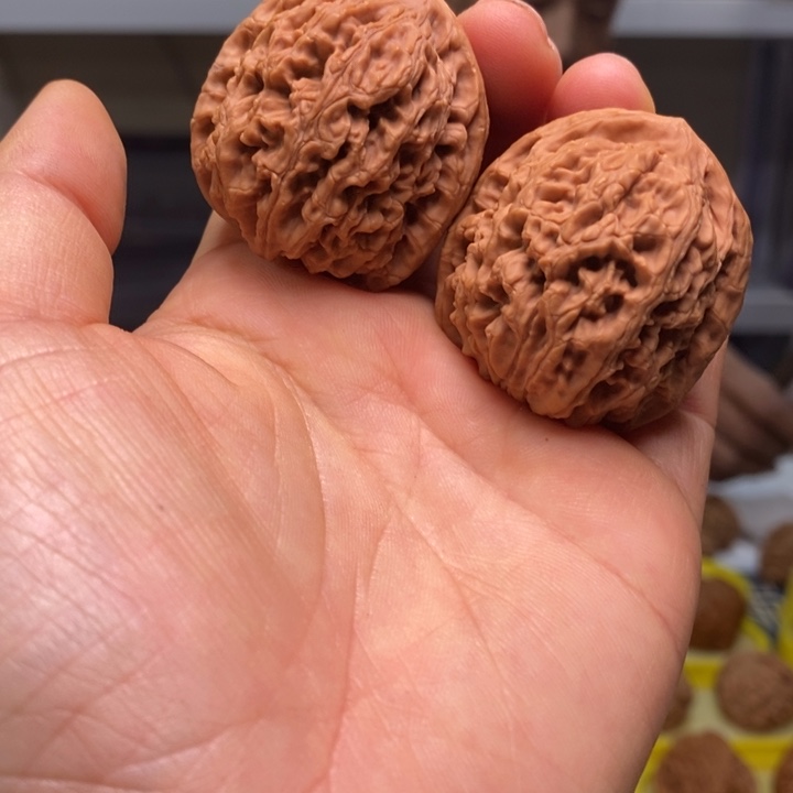 吊坠文玩核桃文玩核桃水龙文38～