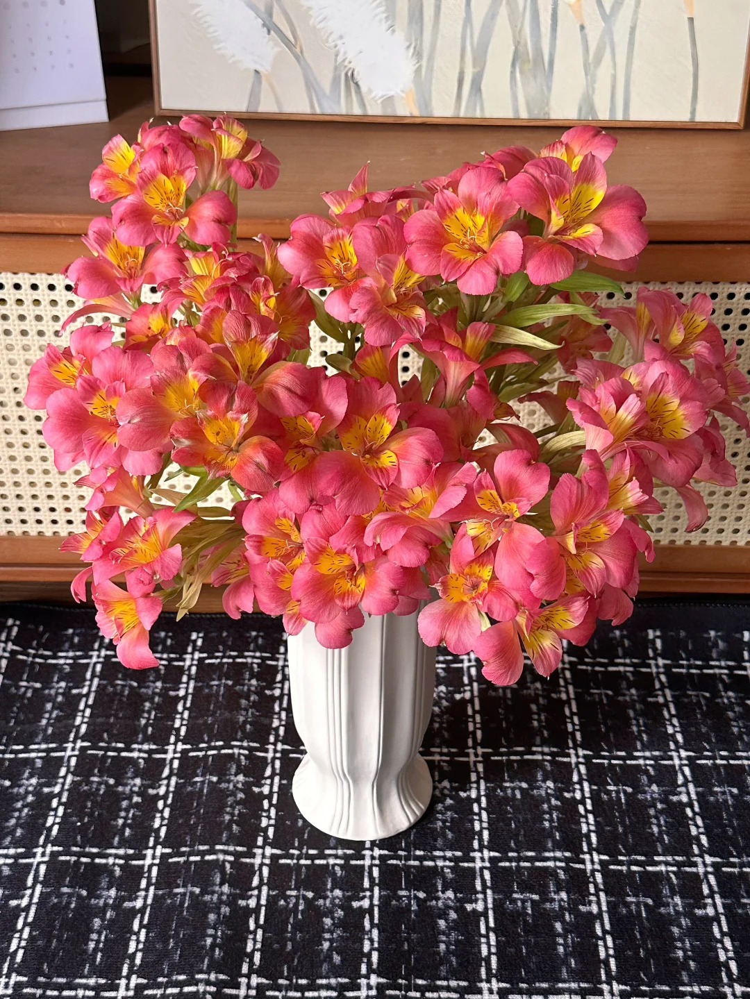 【源头优选】六初花红蝴蝶-任意2单鲜花包邮 发货后不支持退款