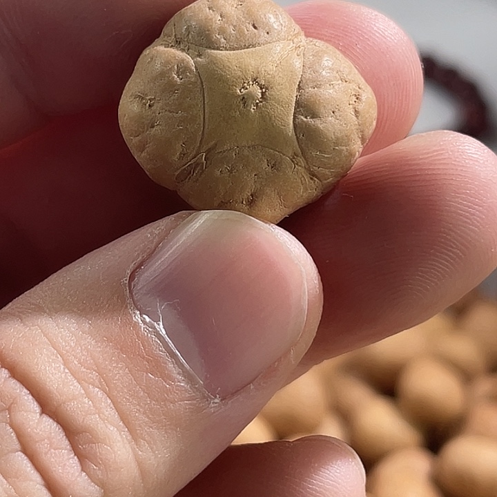 吊坠凤眼菩提尼泊尔小凤眼