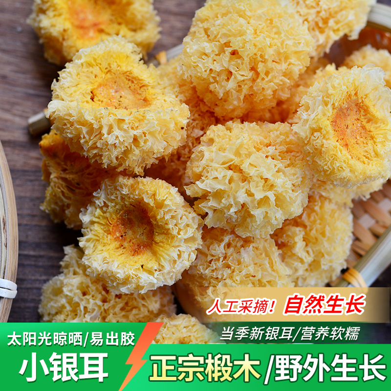 四川巴中椴木小银耳当季新货不熏硫煲汤出胶软糯营养可试用10g