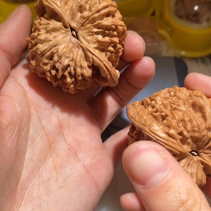 热***丶文玩核桃吊坠精品课程和专业课教材编写