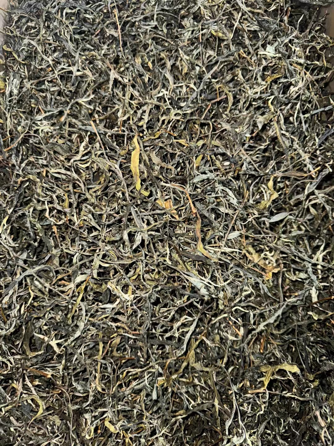 2025年云南勐库懂过乔木生茶散100克