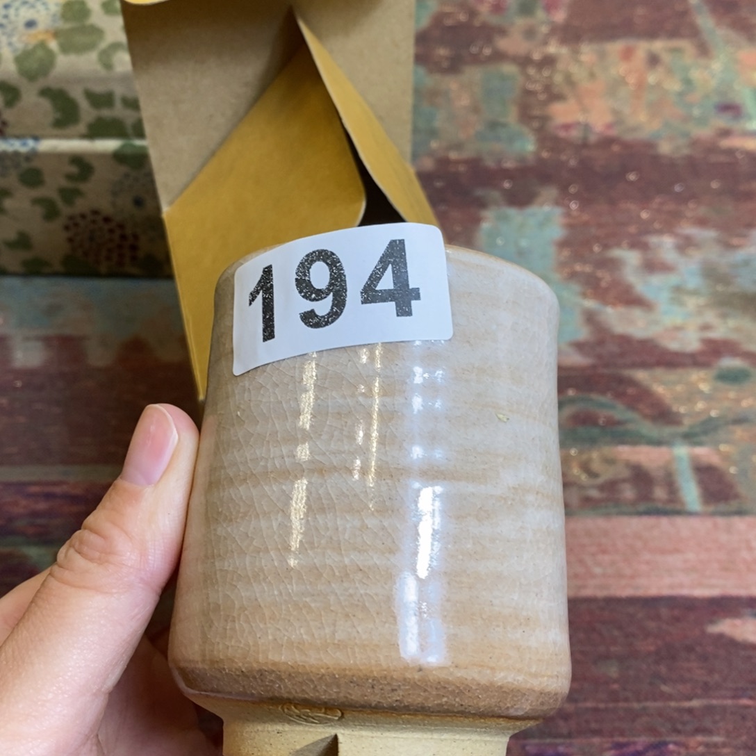 瓷片肥肥111111111