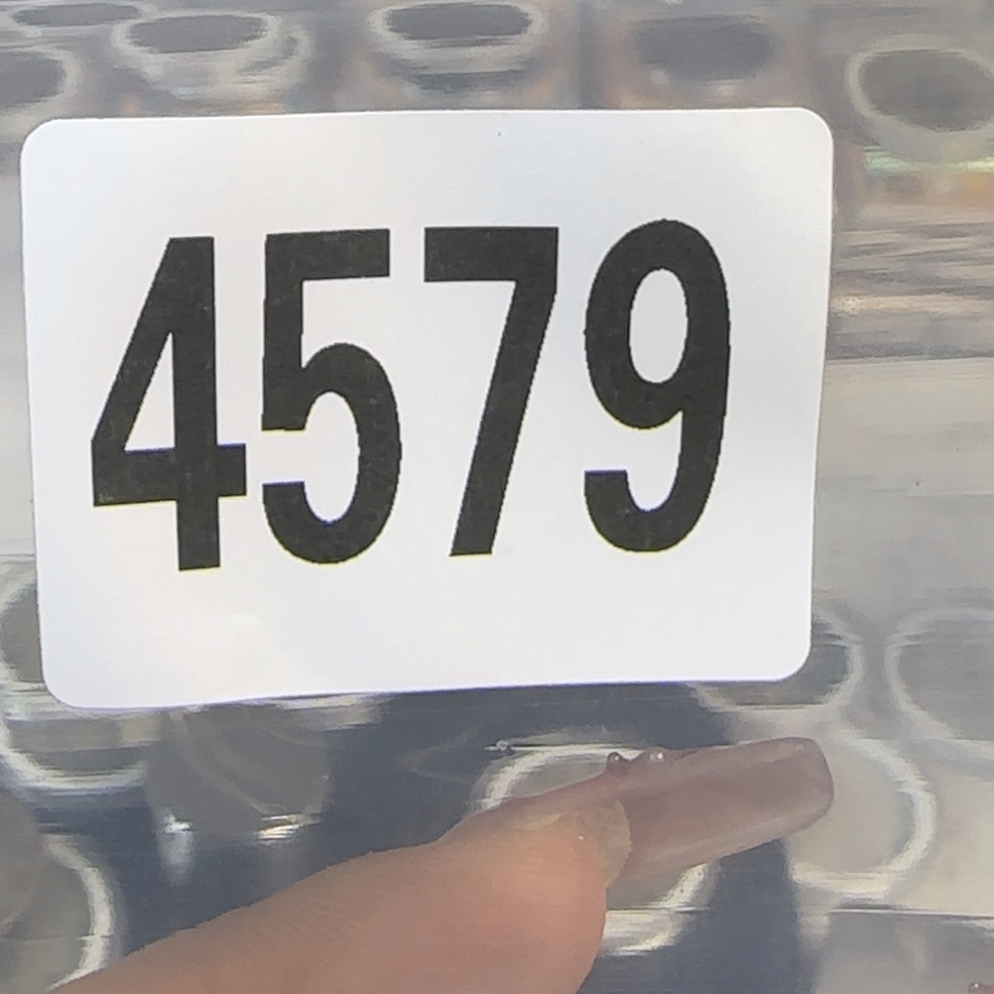 新号开播福利多多