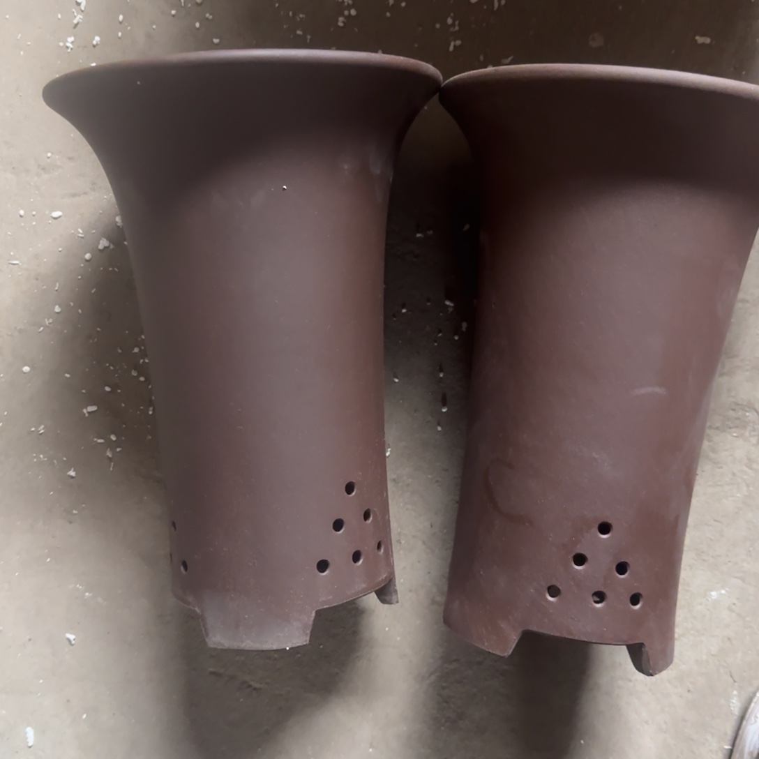 红陶17/24福利秒杀