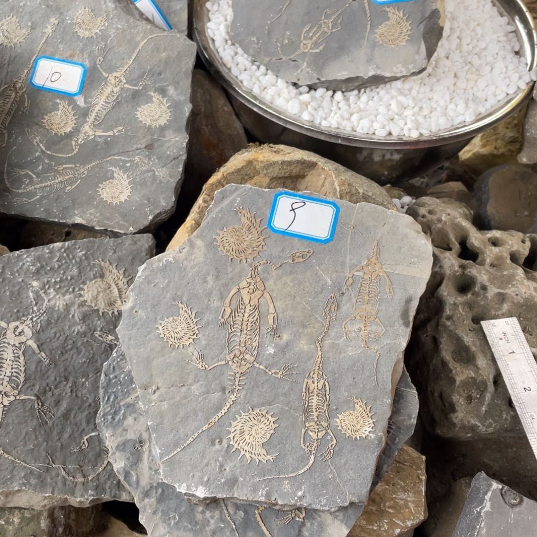 石材99999999999999999