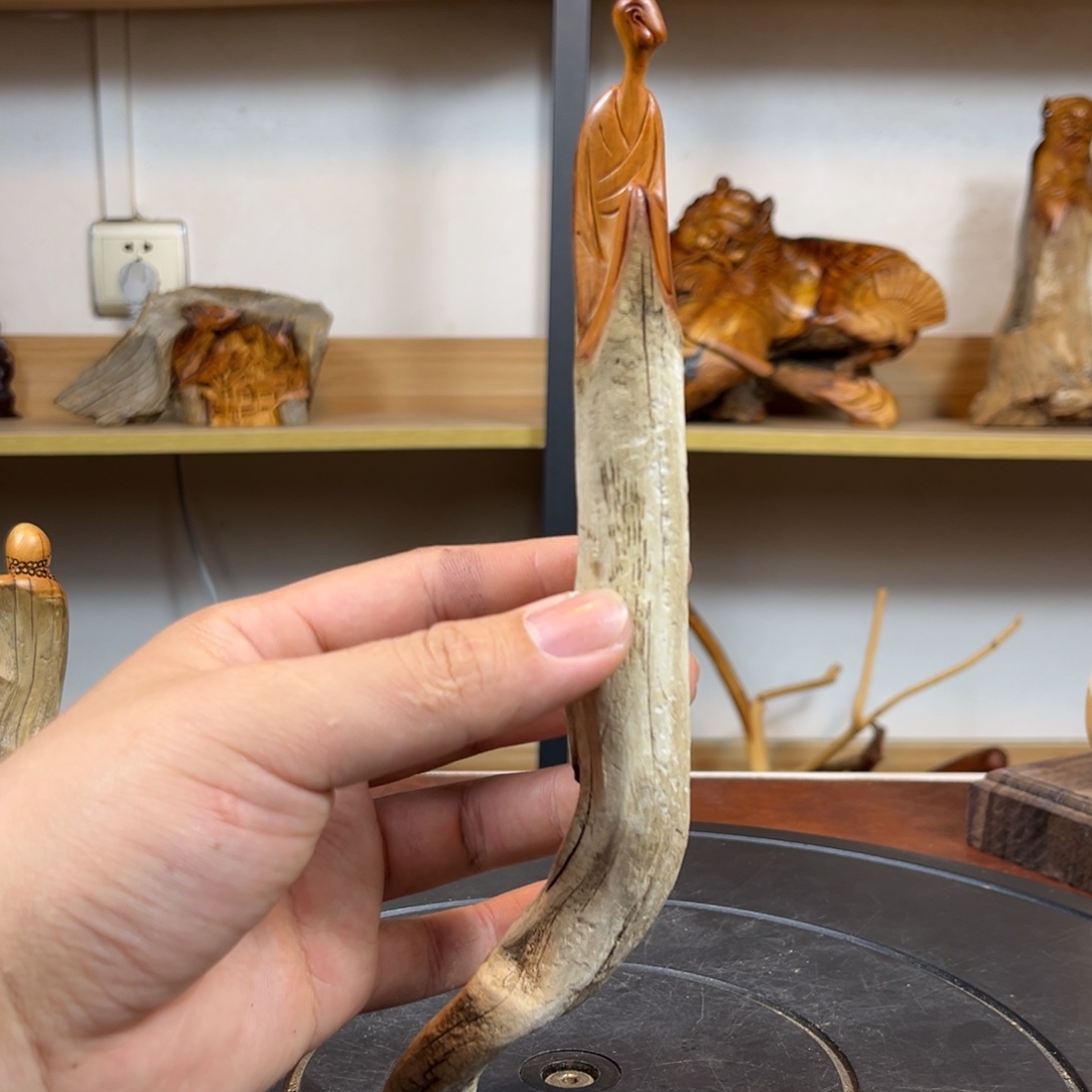 柏木（崖柏）v v c vvv b b b b n