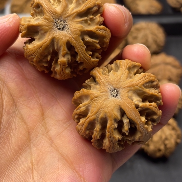 文玩核桃吊坠突突突突突突突突