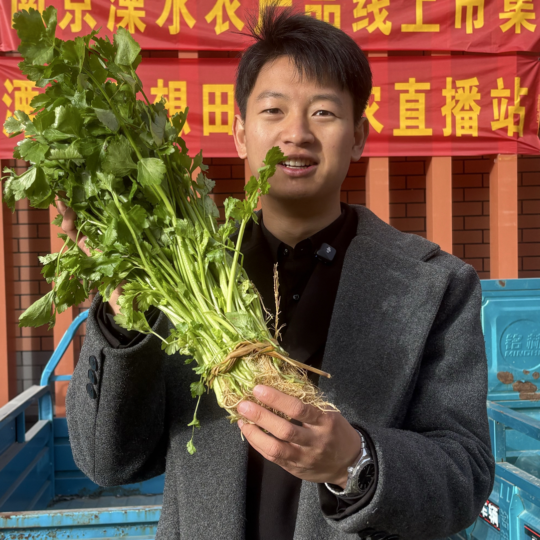 溧水农家自种新鲜芹菜 现摘现发