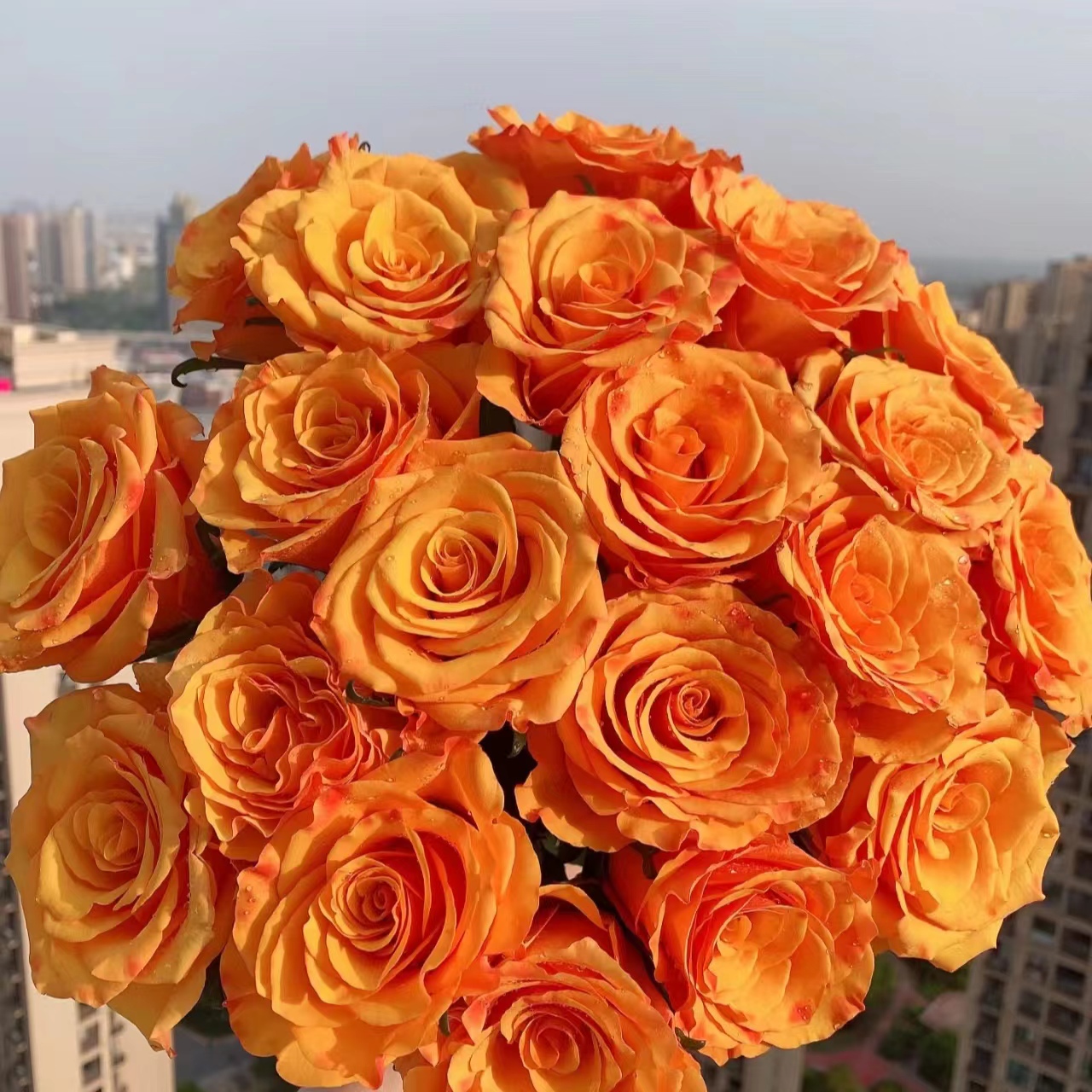 【橙玫瑰福利】橙色玫瑰+红玫瑰+香槟+洋甘菊+向日葵+尤加利叶