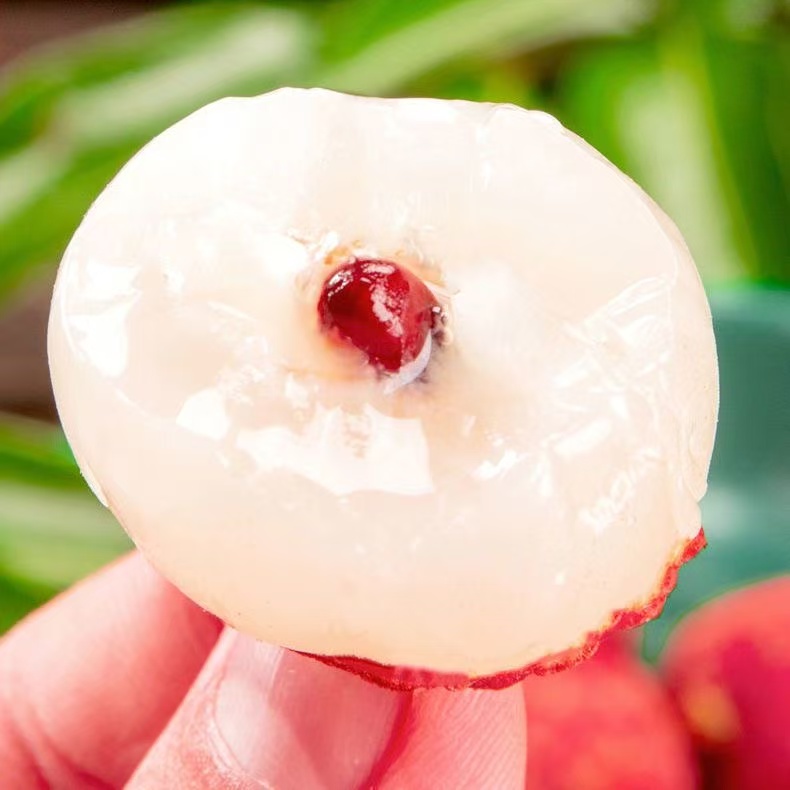 【顺丰/邮政空运专线】白糖罂荔枝现摘鲜果不泡水不催熟5斤装