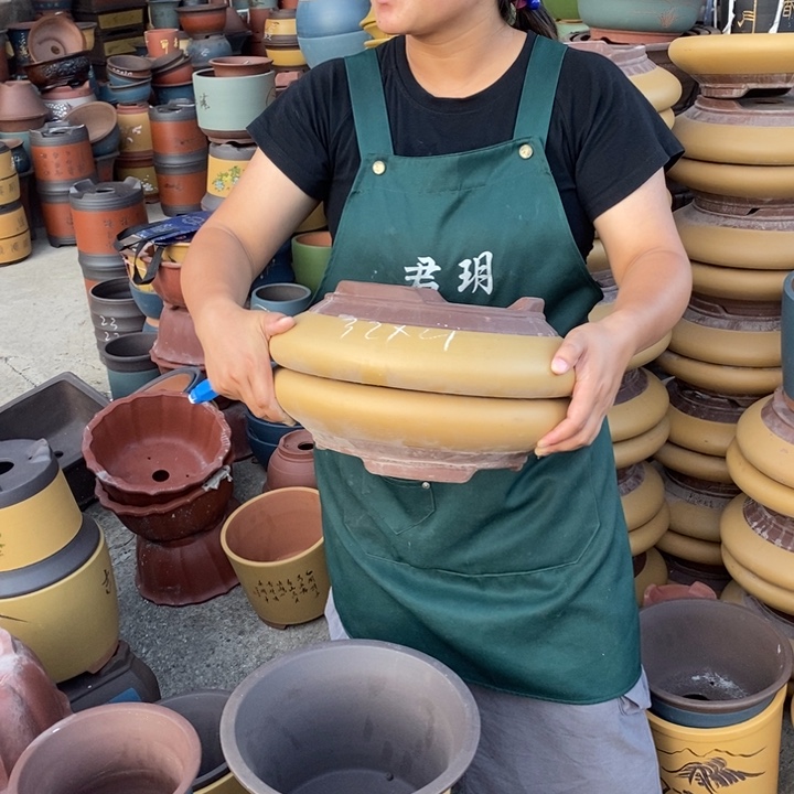 紫砂花盆紫砂花盆盆栽花卉苗木种植