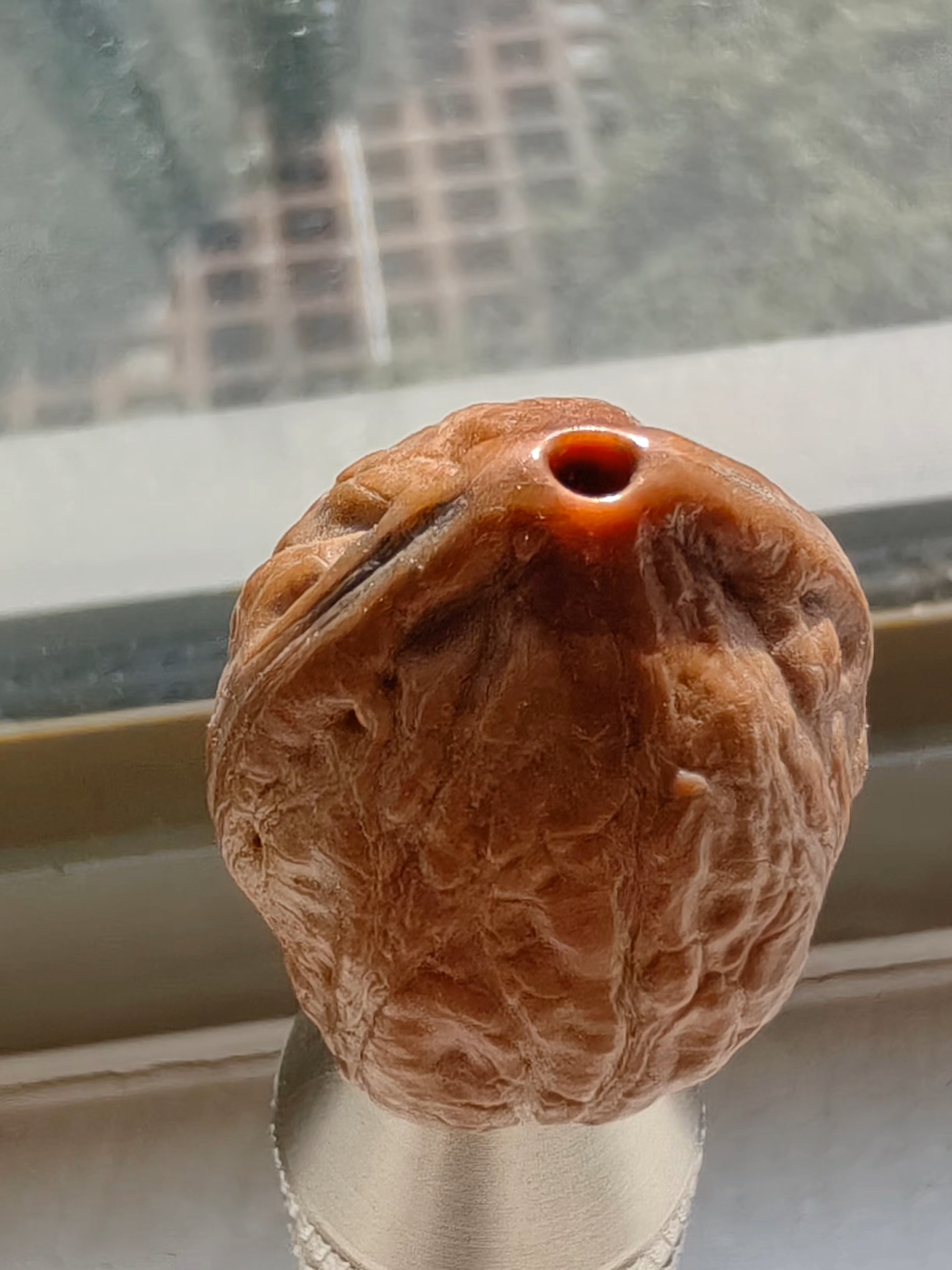 野生小核桃专用链接