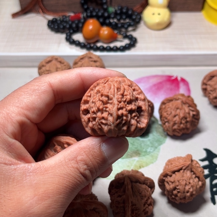 1***5白狮子白狮子白狮子