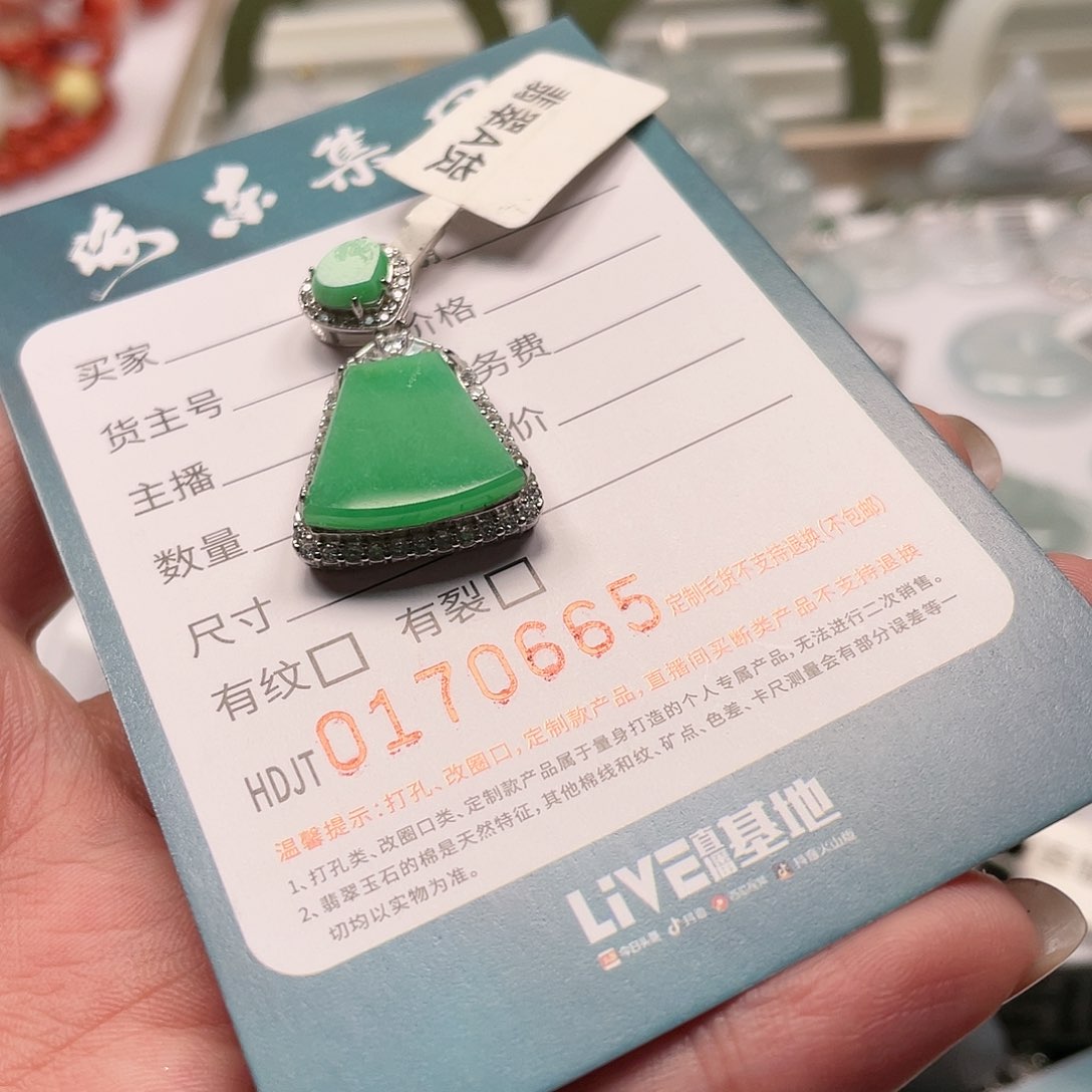 翡翠银S925镶嵌颈饰HDJT0170665