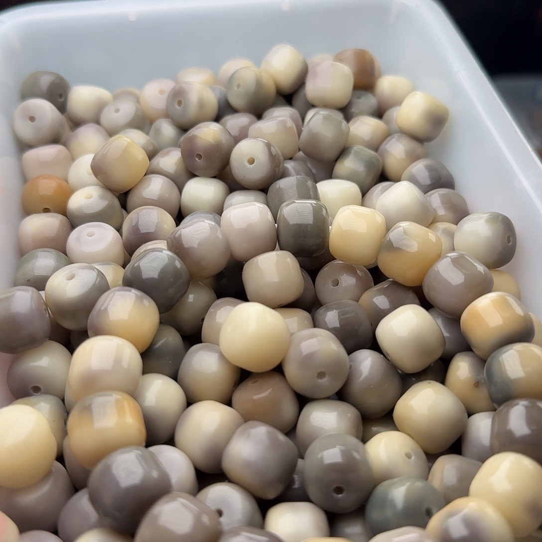 菩提根/象牙果吊坠20 颗柏林 14 干磨汉堡