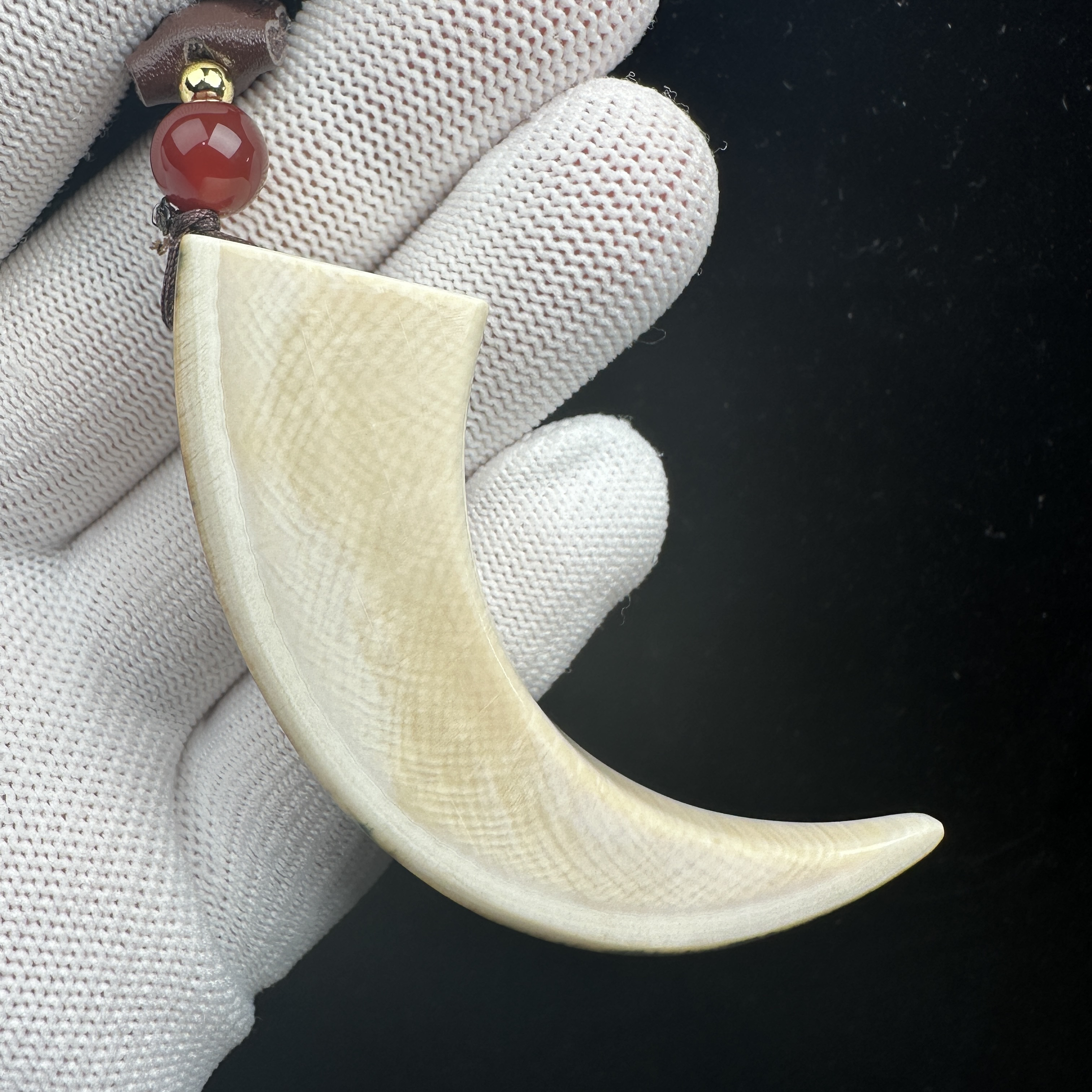 B1557天然猛犸牙 精品牙尖 长75mm支持鉴定 假一罚四