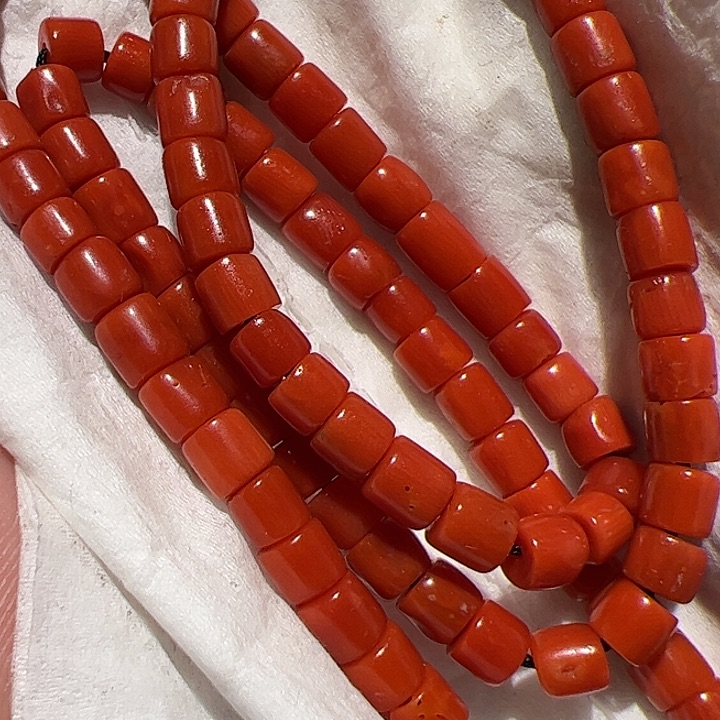 香榧木你的人生观